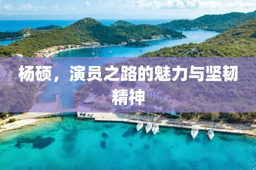 杨硕，演员之路的魅力与坚韧精神