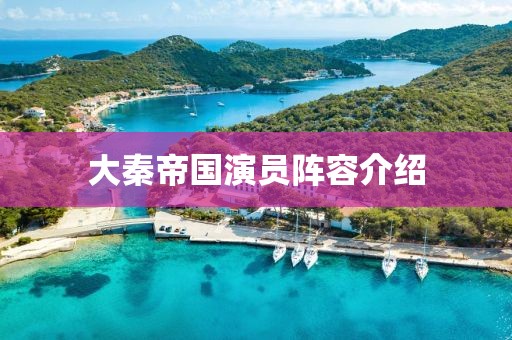 大秦帝国演员阵容介绍