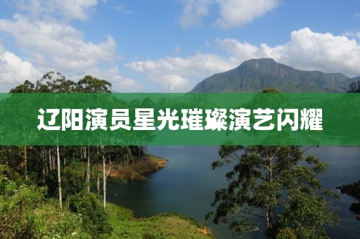 辽阳演员星光璀璨演艺闪耀