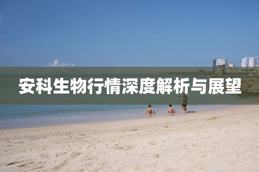 以南的地方 第15页