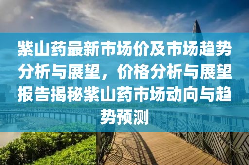流连染紫旳悯 第24页