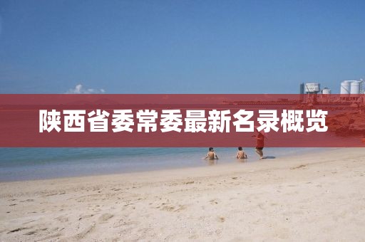 风吹起如花 第11页