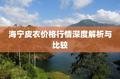 海宁皮衣价格行情深度解析与比较