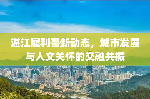 湛江犀利哥新动态，城市发展与人文关怀的交融共振