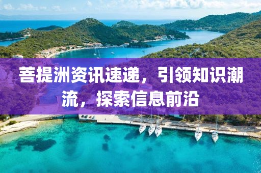 菩提洲资讯速递，引领知识潮流，探索信息前沿