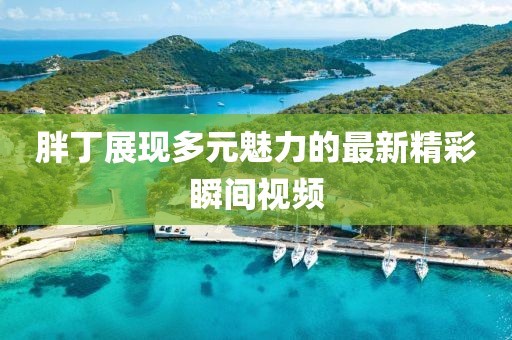 胖丁展现多元魅力的最新精彩瞬间视频