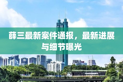 薛三最新案件通报，最新进展与细节曝光