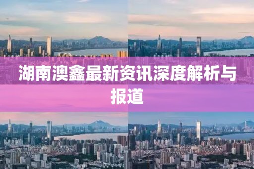 湖南澳鑫最新资讯深度解析与报道
