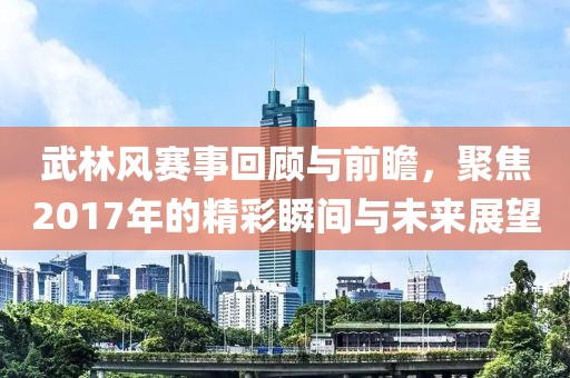 武林风赛事回顾与前瞻，聚焦2017年的精彩瞬间与未来展望