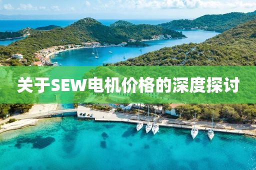 关于SEW电机价格的深度探讨