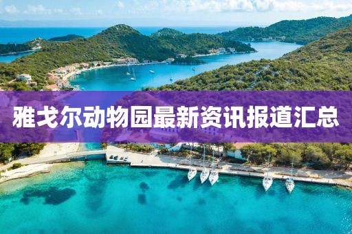 雅戈尔动物园最新资讯报道汇总
