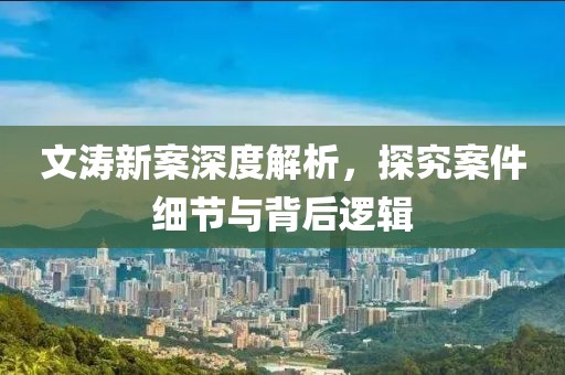 文涛新案深度解析，探究案件细节与背后逻辑