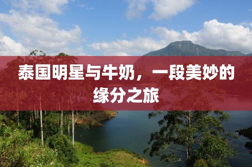泰国明星与牛奶，一段美妙的缘分之旅