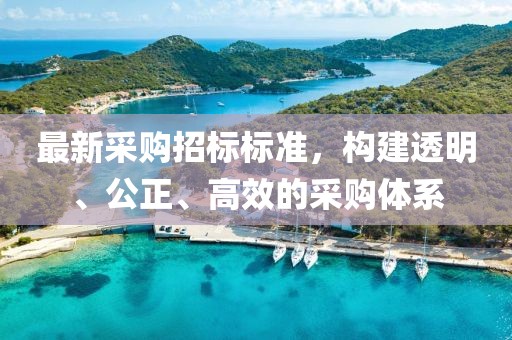 最新采购招标标准，构建透明、公正、高效的采购体系