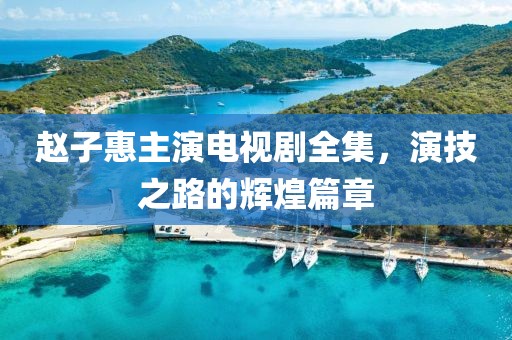 赵子惠主演电视剧全集，演技之路的辉煌篇章