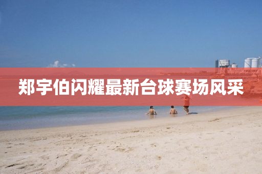 郑宇伯闪耀最新台球赛场风采