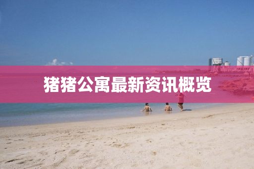 猪猪公寓最新资讯概览