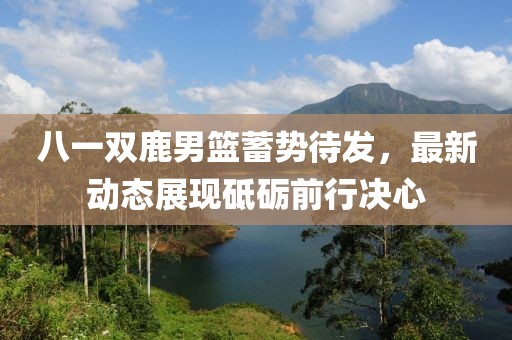 八一双鹿男篮蓄势待发，最新动态展现砥砺前行决心