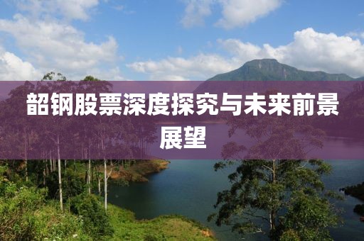 韶钢股票深度探究与未来前景展望