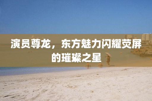 演员尊龙，东方魅力闪耀荧屏的璀璨之星