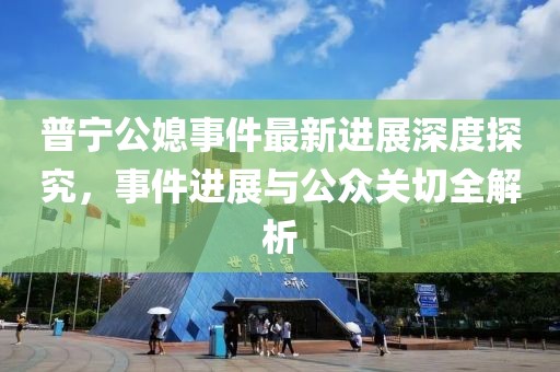 普宁公媳事件最新进展深度探究，事件进展与公众关切全解析