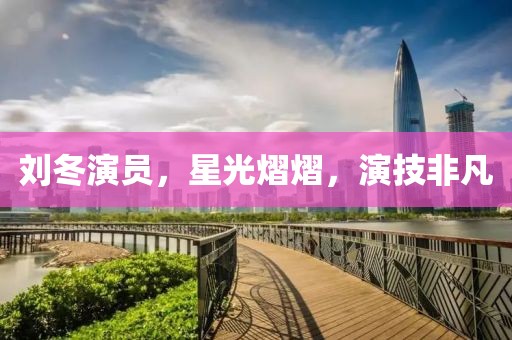 刘冬演员，星光熠熠，演技非凡
