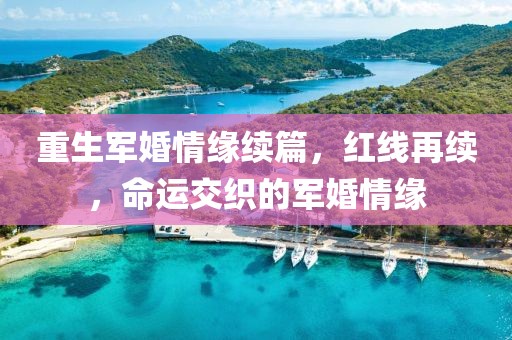 重生军婚情缘续篇，红线再续，命运交织的军婚情缘