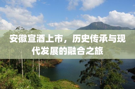 安徽宣酒上市，历史传承与现代发展的融合之旅