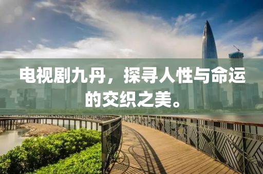电视剧九丹，探寻人性与命运的交织之美。