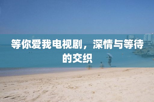 等你爱我电视剧，深情与等待的交织
