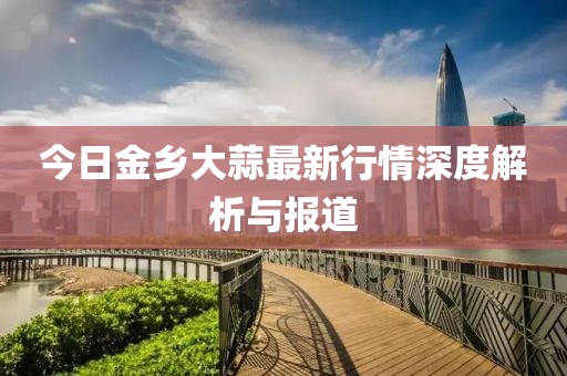 今日金乡大蒜最新行情深度解析与报道