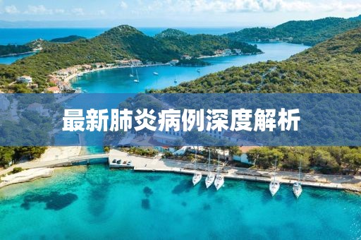 最新肺炎病例深度解析
