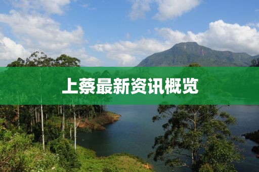鱼死了 第9页