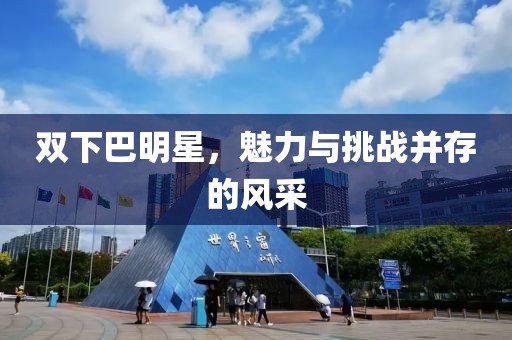 双下巴明星，魅力与挑战并存的风采