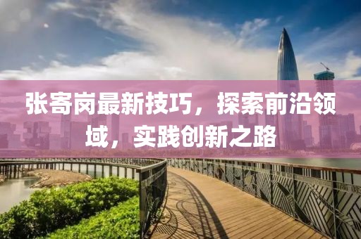 张寄岗最新技巧，探索前沿领域，实践创新之路