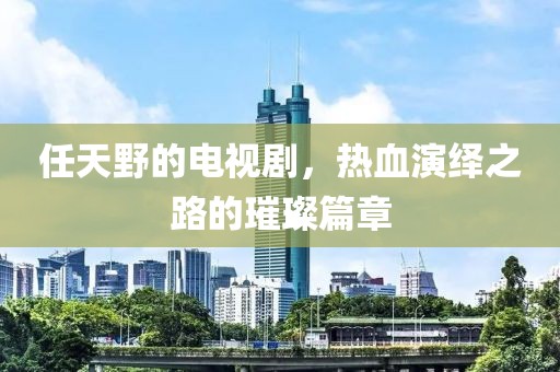 任天野的电视剧，热血演绎之路的璀璨篇章