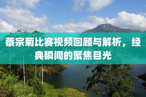 蔡宗菊比赛视频回顾与解析，经典瞬间的聚焦目光