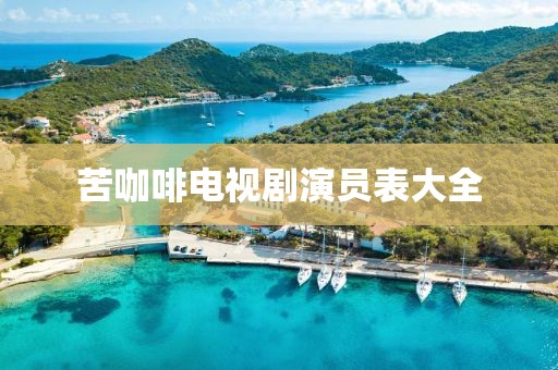 苦咖啡电视剧演员表大全