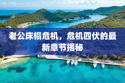 老公床榻危机，危机四伏的最新章节揭秘
