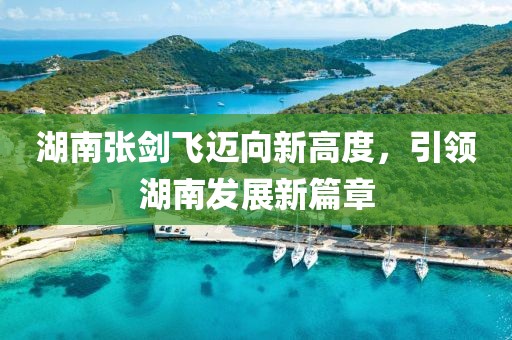 湖南张剑飞迈向新高度，引领湖南发展新篇章