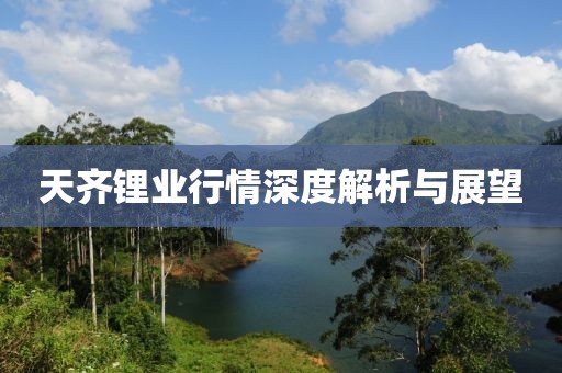 天齐锂业行情深度解析与展望
