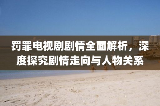 罚罪电视剧剧情全面解析，深度探究剧情走向与人物关系