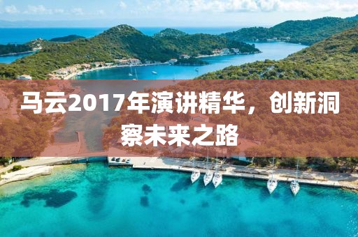 马云2017年演讲精华，创新洞察未来之路