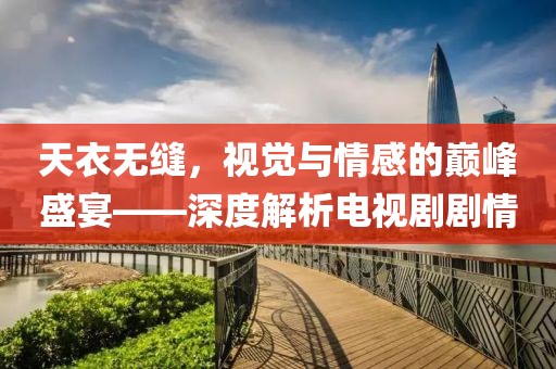 天衣无缝，视觉与情感的巅峰盛宴——深度解析电视剧剧情