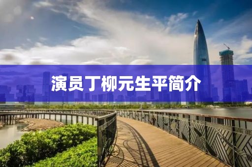 演员丁柳元生平简介