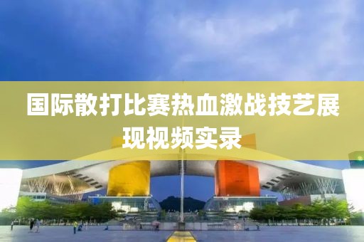 国际散打比赛热血激战技艺展现视频实录
