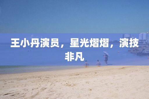 王小丹演员，星光熠熠，演技非凡