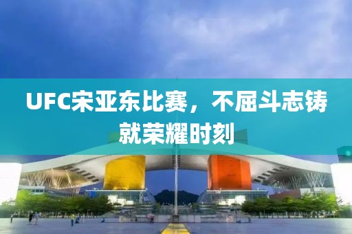 UFC宋亚东比赛，不屈斗志铸就荣耀时刻