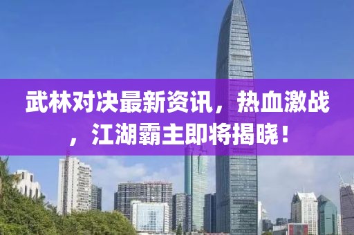 武林对决最新资讯，热血激战，江湖霸主即将揭晓！