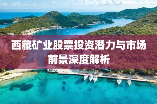 西藏矿业股票投资潜力与市场前景深度解析